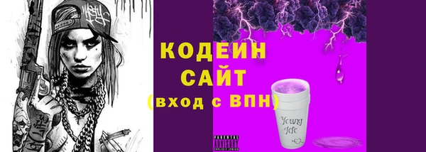 мдпв Вязьма