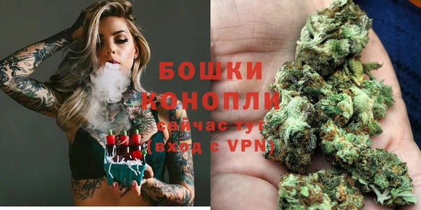 мдпв Вязьма