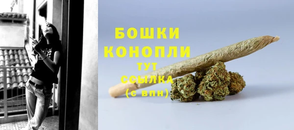 мдпв Вязьма