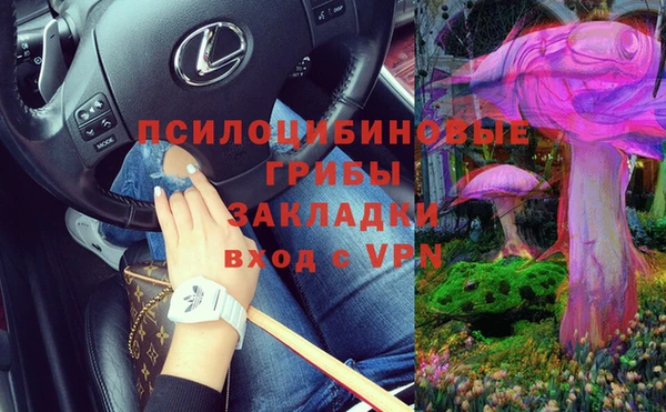 метадон Вяземский