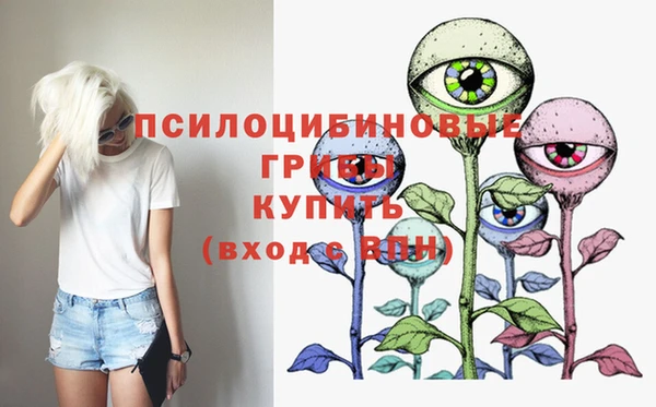 метадон Вяземский