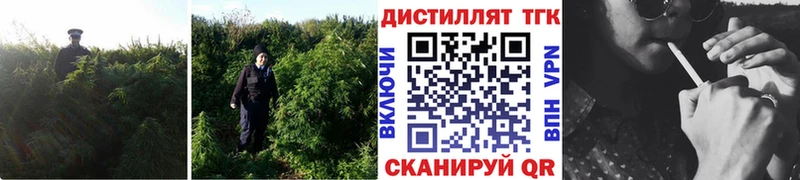 Дистиллят ТГК вейп  Заволжье 