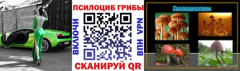 Галлюциногенные грибы GOLDEN TEACHER  купить закладку  Заволжье 